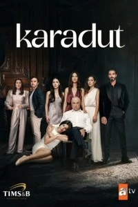 Чёрная шелковица - постер