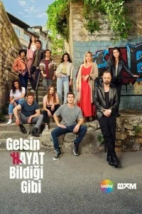 Жизнь как она есть - постер