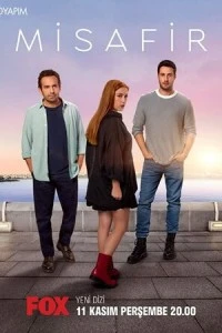 Гостья - постер